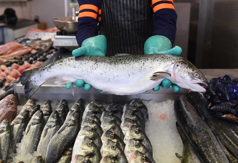como-montar-una-pescaderia