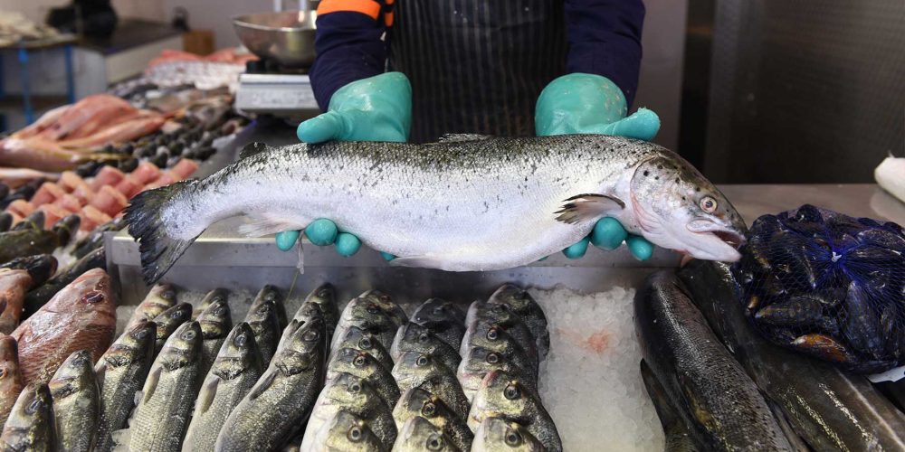 como-montar-una-pescaderia