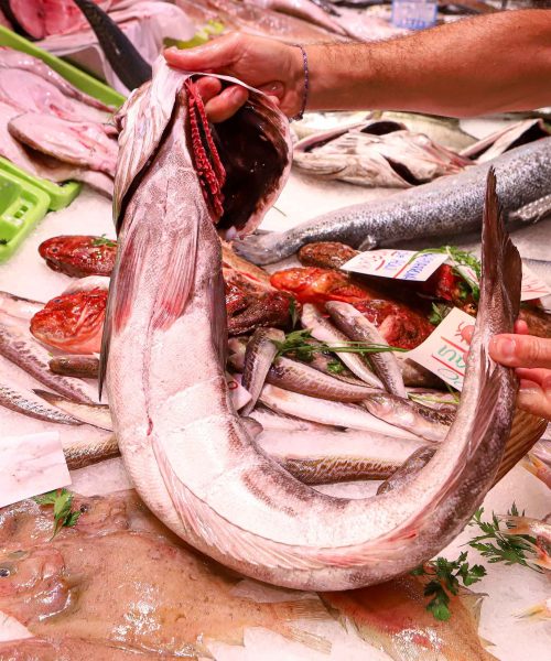 imgi_14_Merluza_Pescaderia_Espe